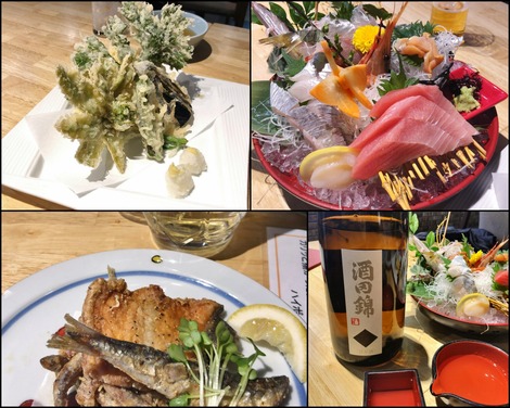 小田原、魚国