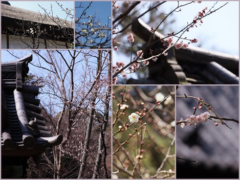 ���̱ࡢ��