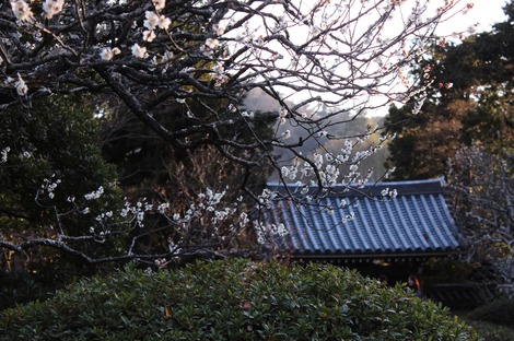 夕方の浄妙寺