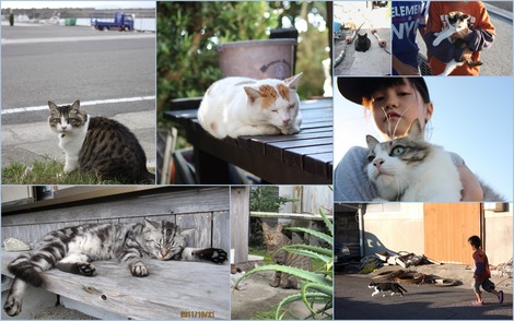 ������Τͤ�