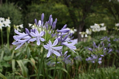 �����ѥ󥵥�