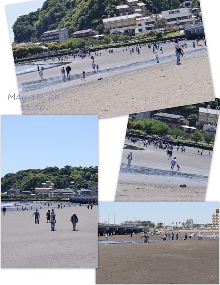 江ノ島