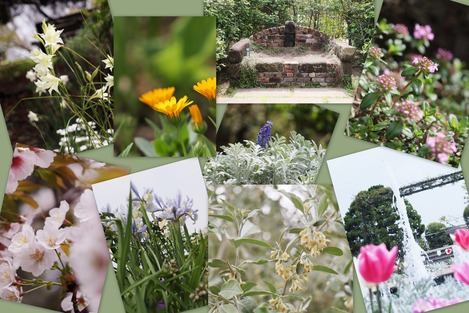 ���θ�����ָ���