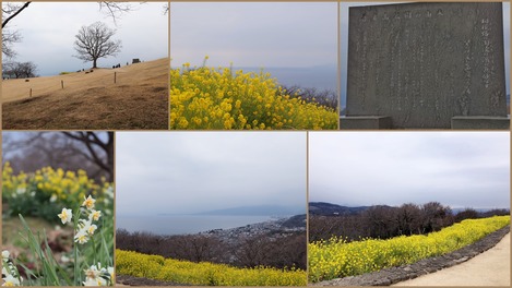 吾妻山