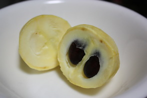 ポポー