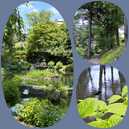 盛岡城址公園
