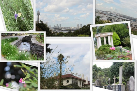 ¹Á¤Î¸«¤¨¤ëµÖ¸ø±à¼þÊÕ 2014.10.7