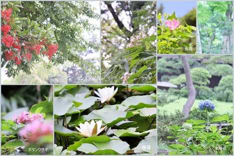 三渓園