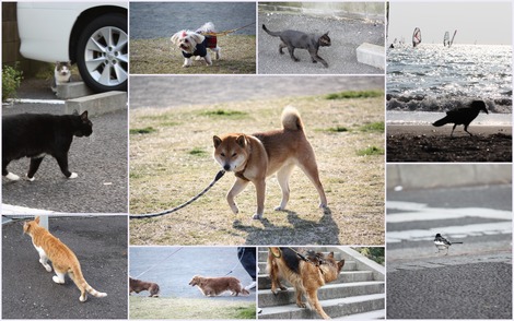 �⤳���⤳��