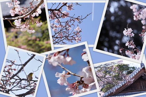 �����κ�