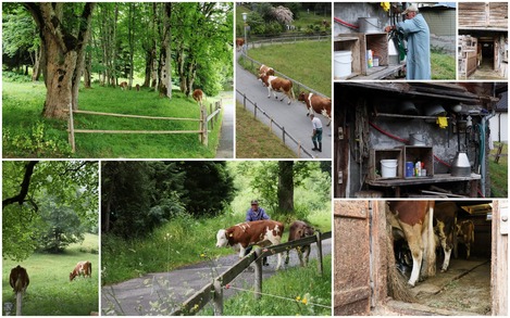 Wengen