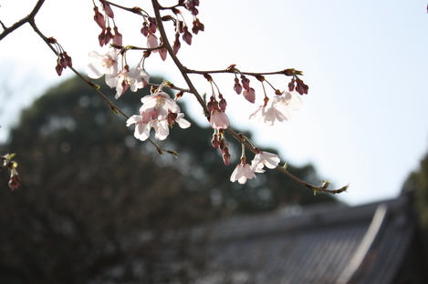 �����κ�