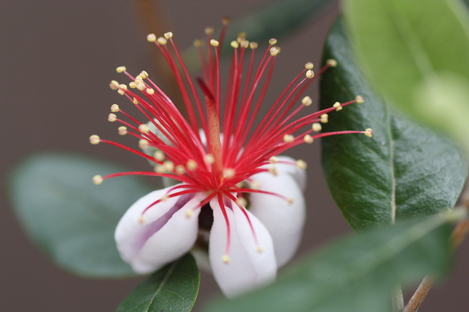 �ե������祢