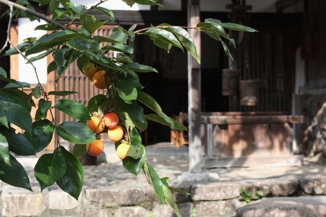 ���Τ�������