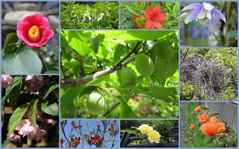 4����ܤβ֡�