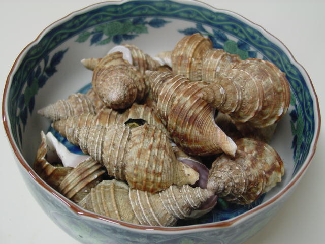 つぶ貝の塩茹で