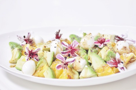 Salad