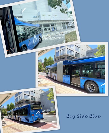 Bay Side Blue