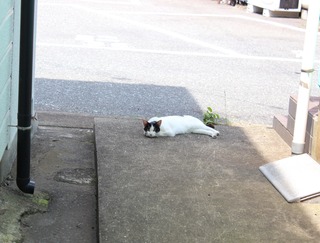 つまんないの?