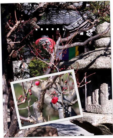 本覚寺