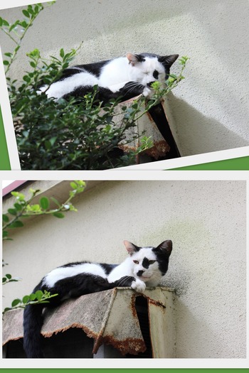 イメージ違い過ぎ