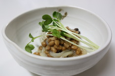 ������������ǼƦ