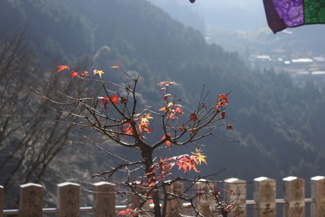 高知大豊町 常福寺