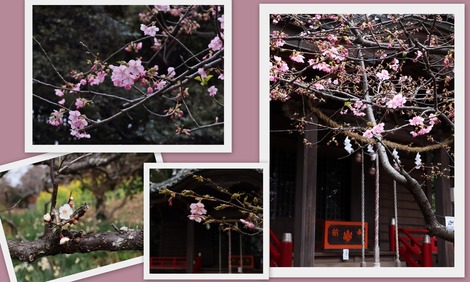 吾妻神社