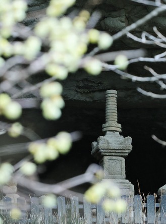 報国寺