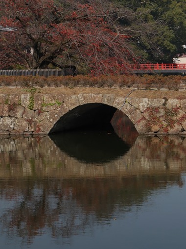 桜紅葉