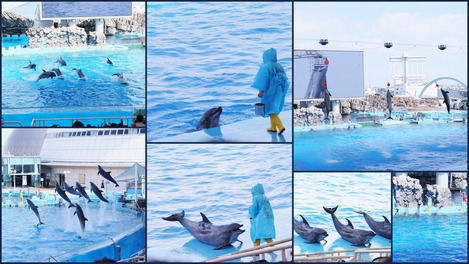 名古屋港水族館