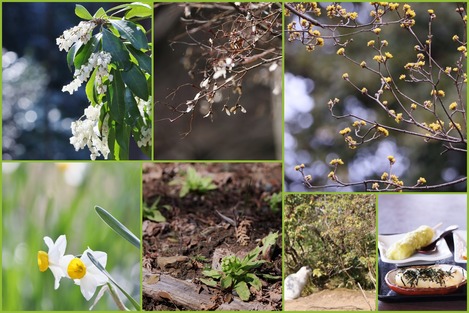 ���̱� 3����