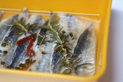 ���Υϡ��֡������ͥ������ޥ��