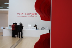 ���������˥�30