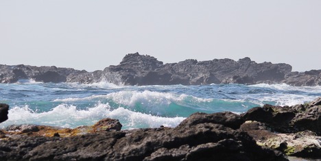 海