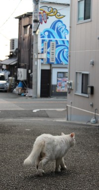 �������ǭ-4