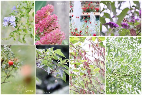 ���θ�����ָ���