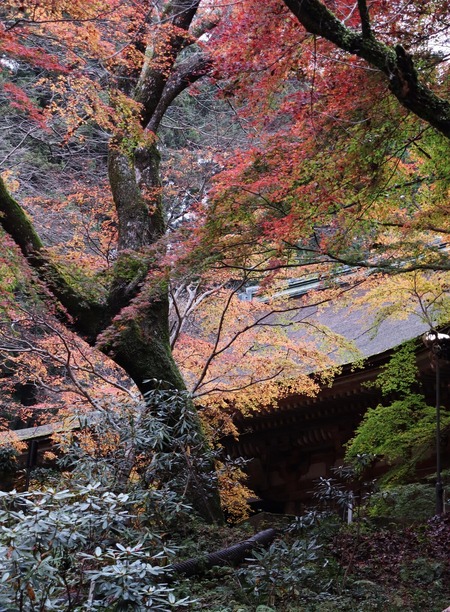 室生寺