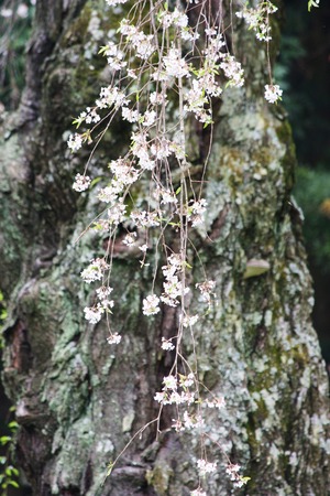 �������λ޿��