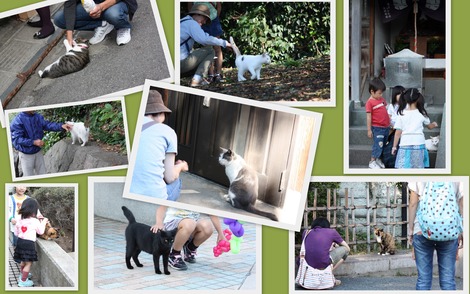 ǭ������