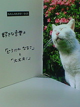 Card-2