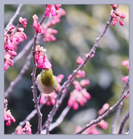 �᥸���ȴ����