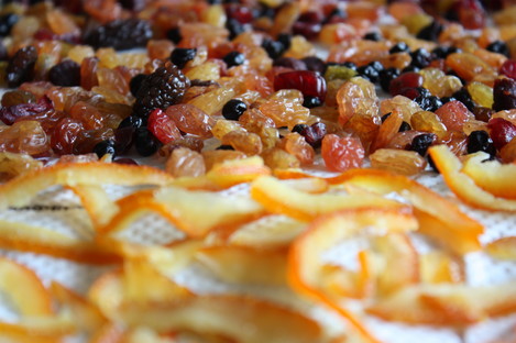 �ɥ饤���ե롼��