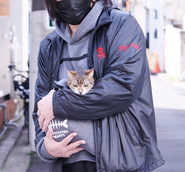 ¥ì¥ª¤Á¤ã¤ó