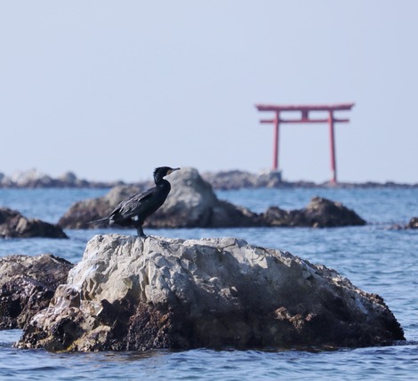 森戸神社