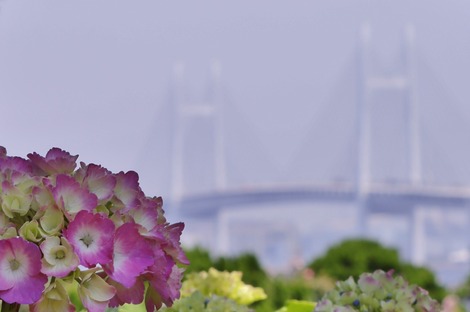 ���۲֤ȥ٥��֥�å�