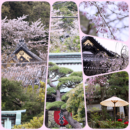 collage-3