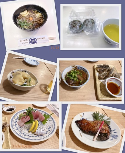 11/11お昼とうお徳