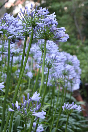 �����ѥ󥵥�