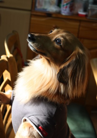 ���ä����-1